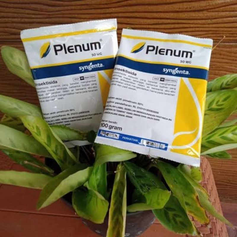 Plenum 100gram