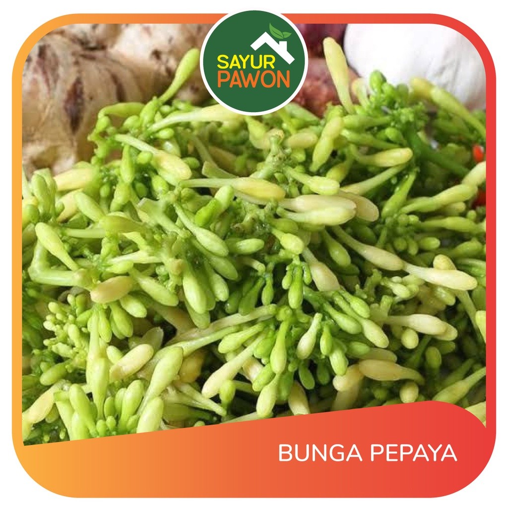 

Bunga Pepaya Segar per bks (sayur segar produk pasar tradisional)