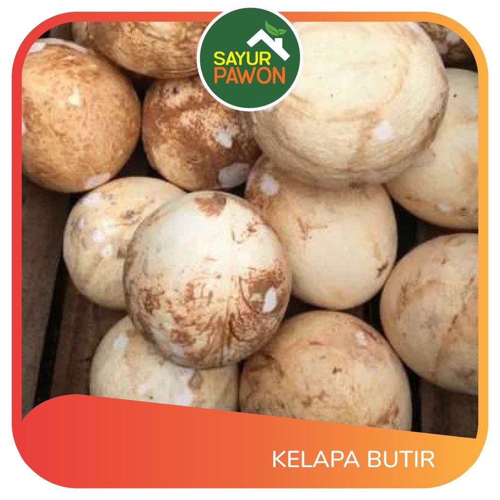 

Kelapa Utuh per butir