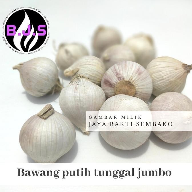 

Bawang Putih Tunggal/Lanang (Jumbo)500Gram