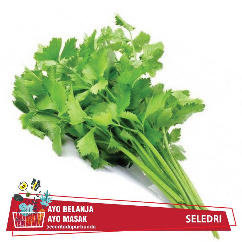 

DAUN SELEDRI SEGAR per ikat kecil 50 gram