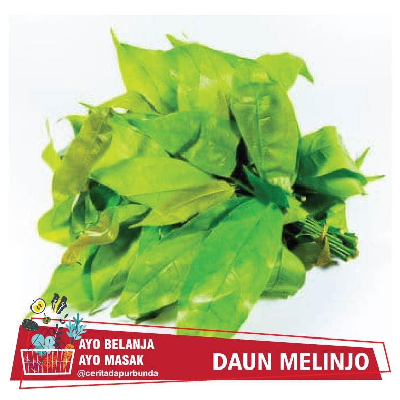 

DAUN MELINJO [per ikat]