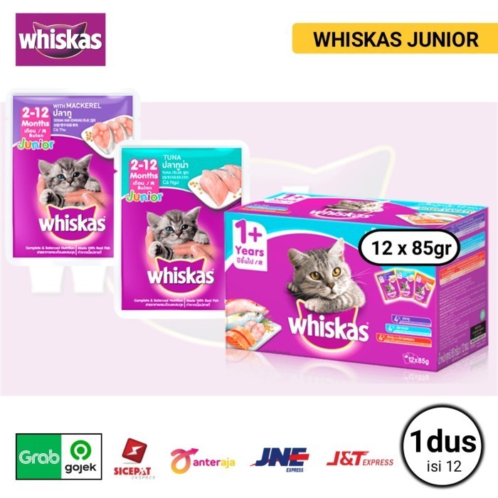Whiskas Pouch Junior 1 Dus ( Isi 12 ) Whiskas Junior Tuna & Mackerel