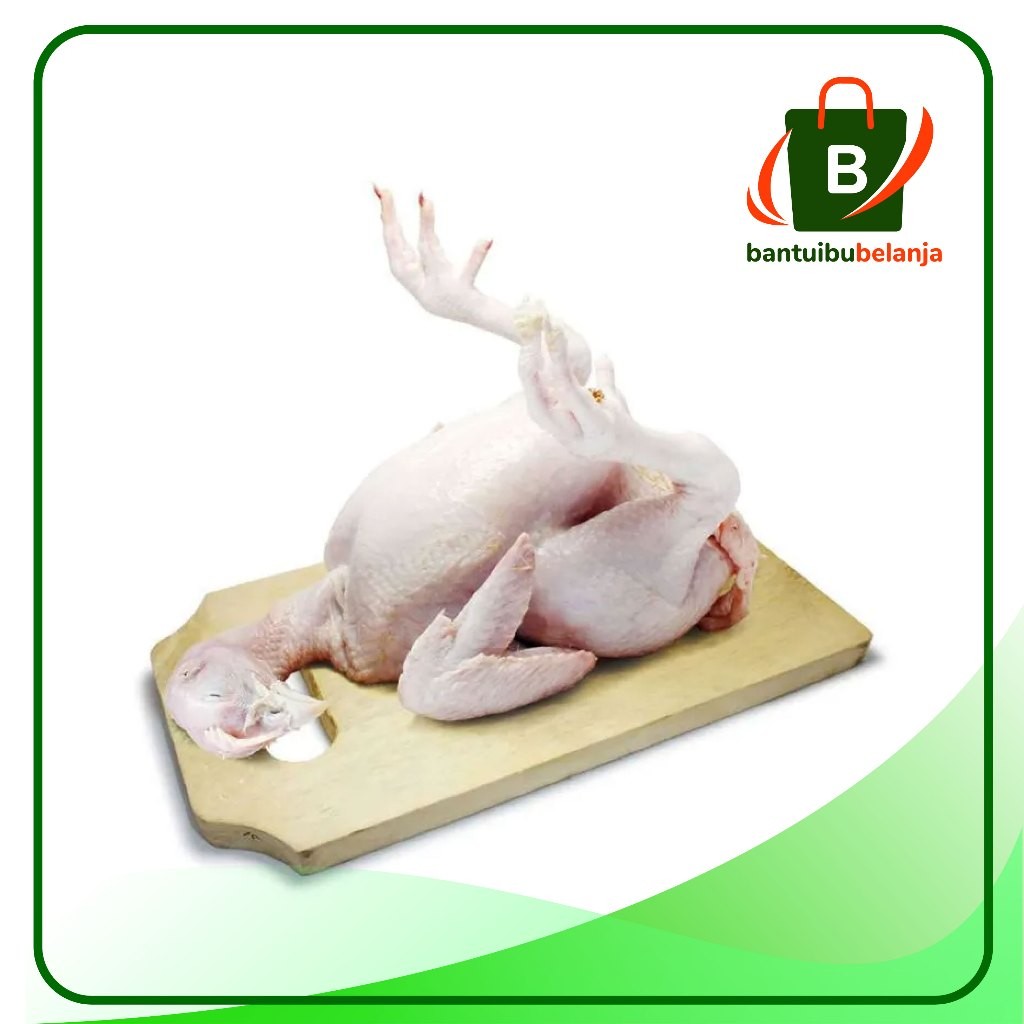 

AYAM MERAH / AYAM PETELUR FRESH per ekor