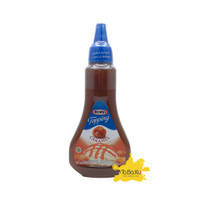 

Morin Topping Caramel 310gr