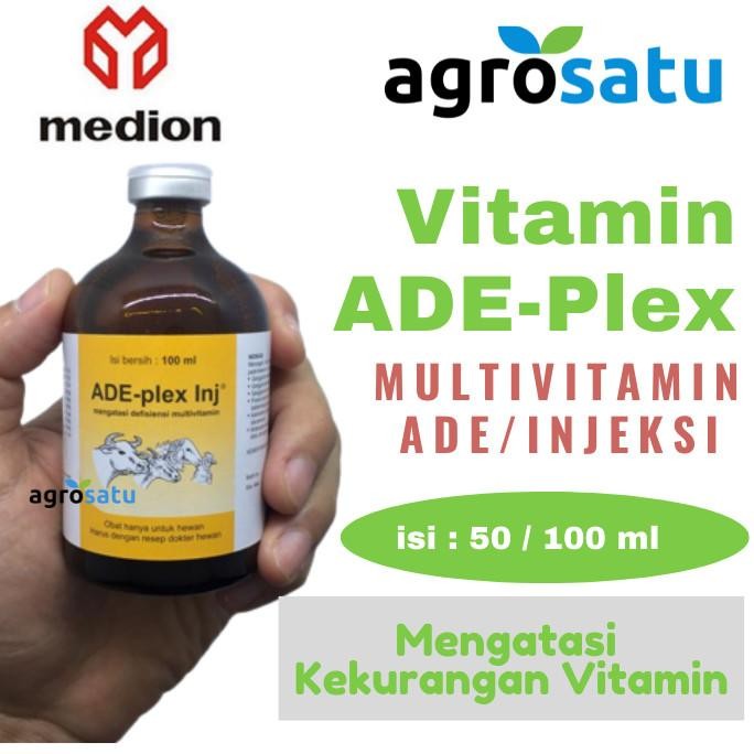Vitamin Sapi Kambing Domba ADE Plex Inj Multivitamin Daya Tahan Tubuh