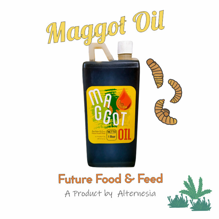 Minyak Maggot Oil Arwana, Channa, Koi, Murai, Louhan, Reptil, Ternak