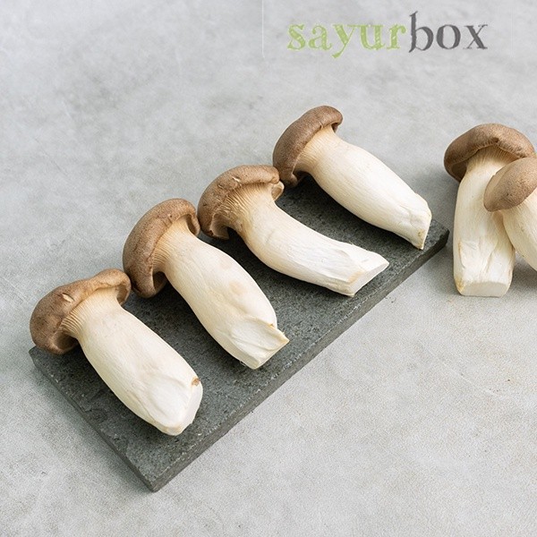 

Jamur King Oyster Impor 200 gram Sayurbox