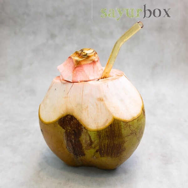 

Kelapa Hijau Konvensional 1 pcs Sayurbox