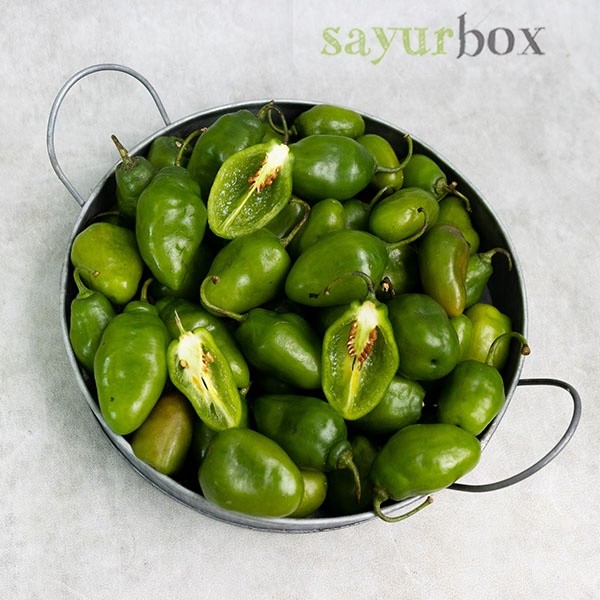 

Cabai Gendot Konvensional 1 kg Sayurbox
