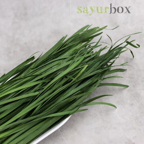 

Kucai Konvensional 100 gram Sayurbox