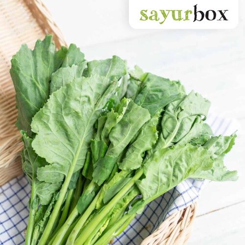 

Kailan Baby Konvensional 250 gram Sayurbox