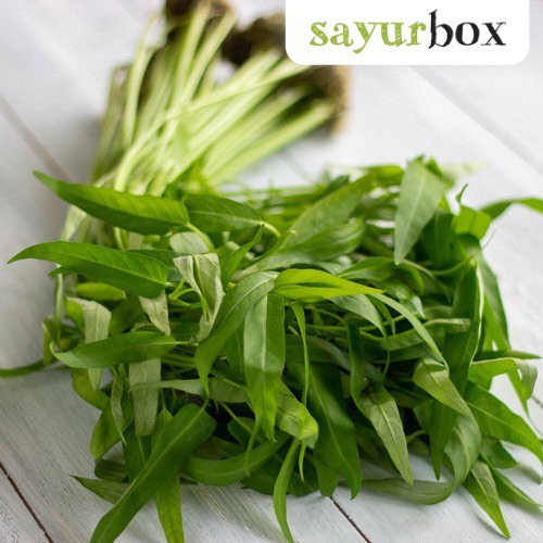 

Kangkung Hidroponik Hidroponik 200 gram Sayurbox