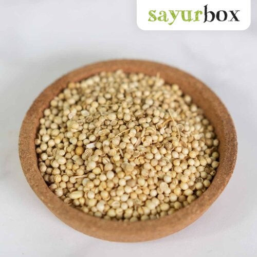 

Biji Ketumbar Konvensional 100 gram Sayurbox