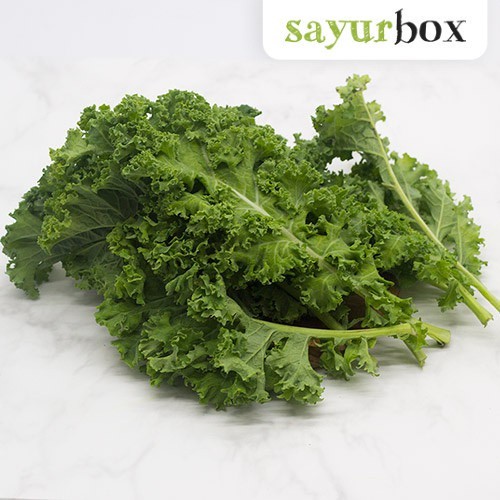 

Curly Kale Organik Organik 200 gram Sayurbox