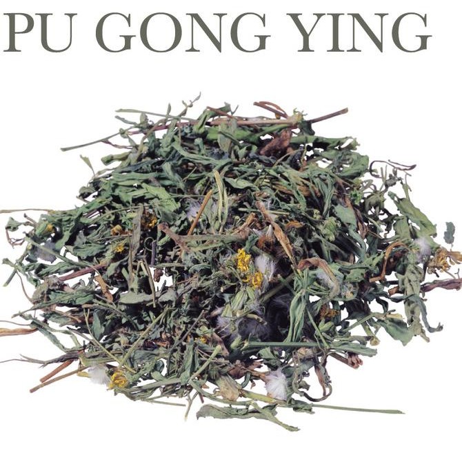

BIG SALE 600 G GR GRAM TEH DANDELION HERBAL TEA PU GONG YING !!!!!