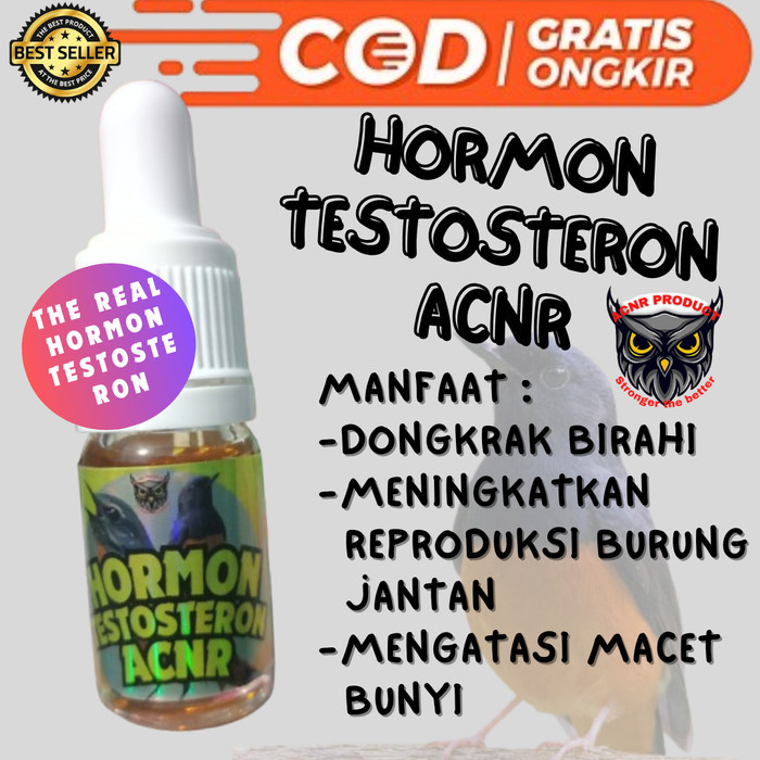 Hormon Testosteron Acnr Hormon Burung Breeding Dan Dongkrak Birahi