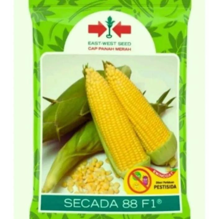Benih Jagung Manis Scada 88 F1. Isi 1750 Biji. Benih Unggul Cap Merah.