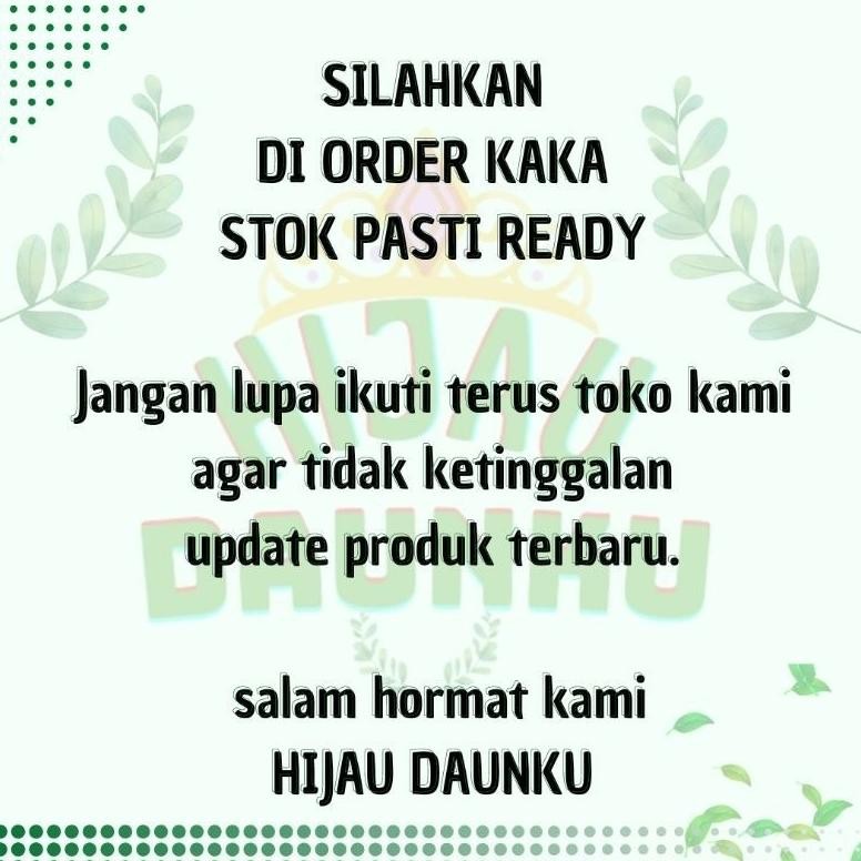 

DAUN SIRSAK HERBAL SEGAR HIJAU NON KIMIA 100LEMBAR LANGSUNG DI PETIK - PROMO