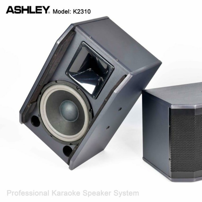 Terlaris Speaker Karaoke Ashley K2310 Satu Set Original