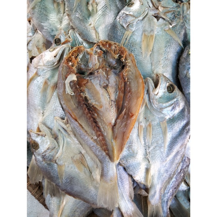 

Ikan Asin Samge Belah (500G) Ikan Asin Pontianak Ikan Asin Kepala Batu