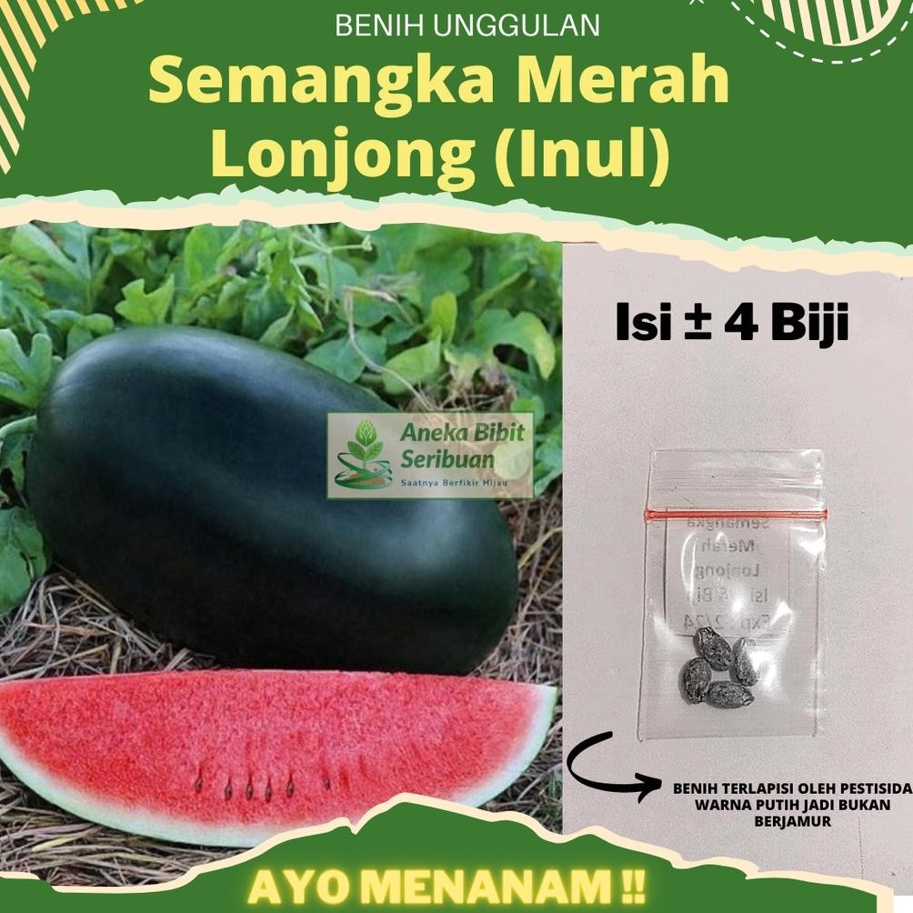 Semangka Merah Lonjong (INUL) Semangka Hibrida F1 "WINDA" Benih Pertiwi