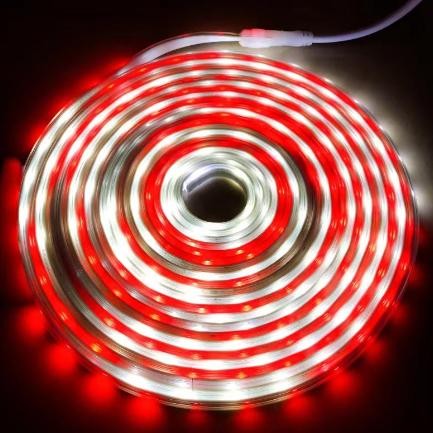 Terlaris Lampu Selang Rgb & Merah Putih / Warna Warni/Lampu Strip Rgb/ Tumblr Selang /Lampu Natal Me