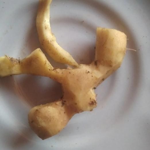 

Jahe Emprit Kupas 500 Gram