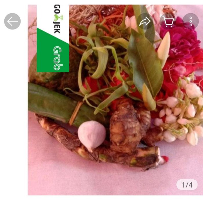 Terlaris Kembang Macan Kera Komplit Mandi Kembang Macan Kerah