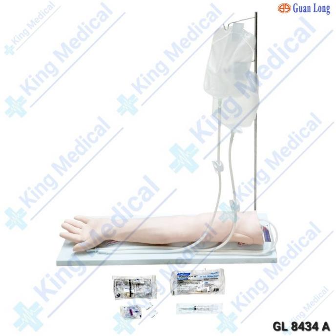 Manikin Lengan Infus/Manekin Phantom Alat Peraga GL 8434A Guan Long