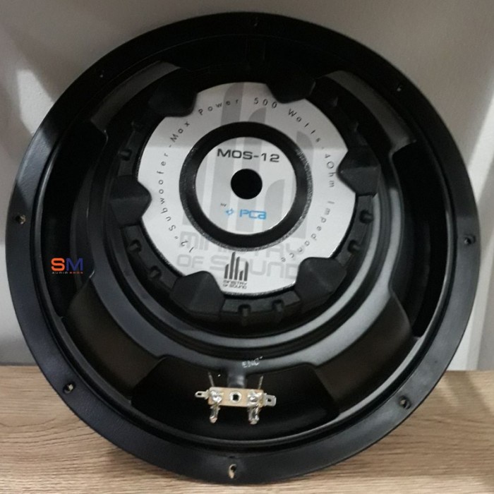 Subwoofer PCA 12 Inch / PCA MOS 12 Subwoofer Pasif 12 Inch star