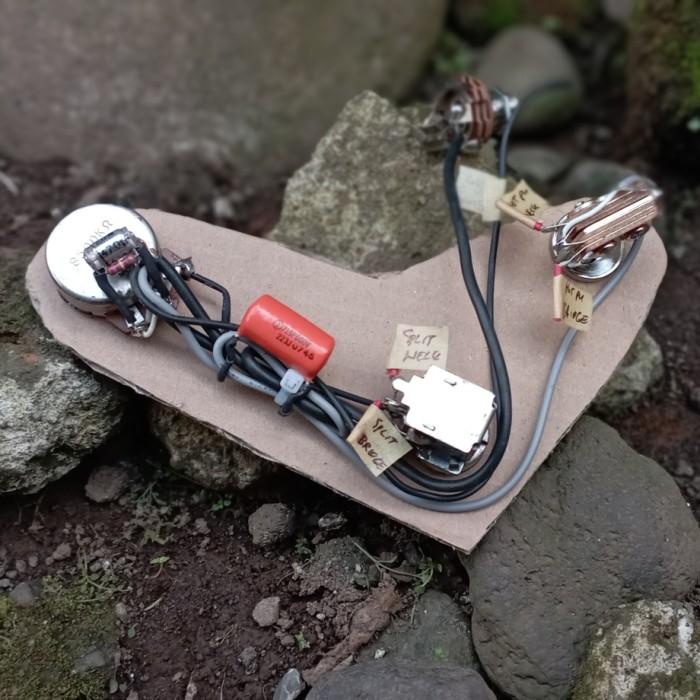 Prewiring PRS Gitar Wiring Harness Kit