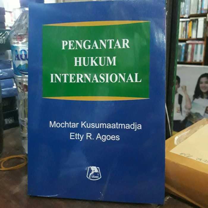 

Pengantar Hukum Internasional Karangan Mochtar Kusumaatmadja.