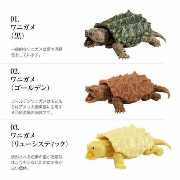 ❤️NEW❤️ Gashapon Kame Kura Ast Tortoise Turtle Vol3 Set 3 Ori New Bisa Gojek