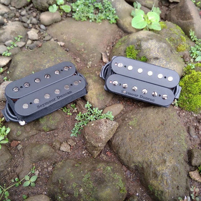 Pickup Gitar Seymour Duncan PEGASUS SENTIENT Humbucker Set