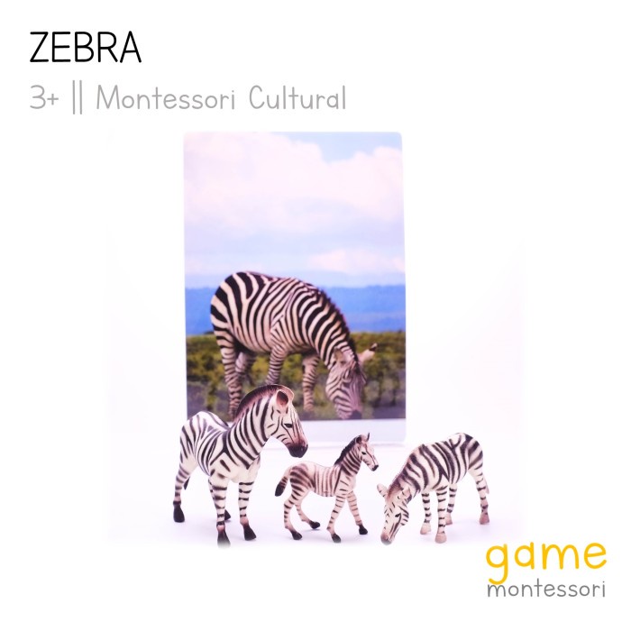 MUST HAVE MONTESSORI CULTURAL WILD ANIMAL ZEBRA TERLARIS