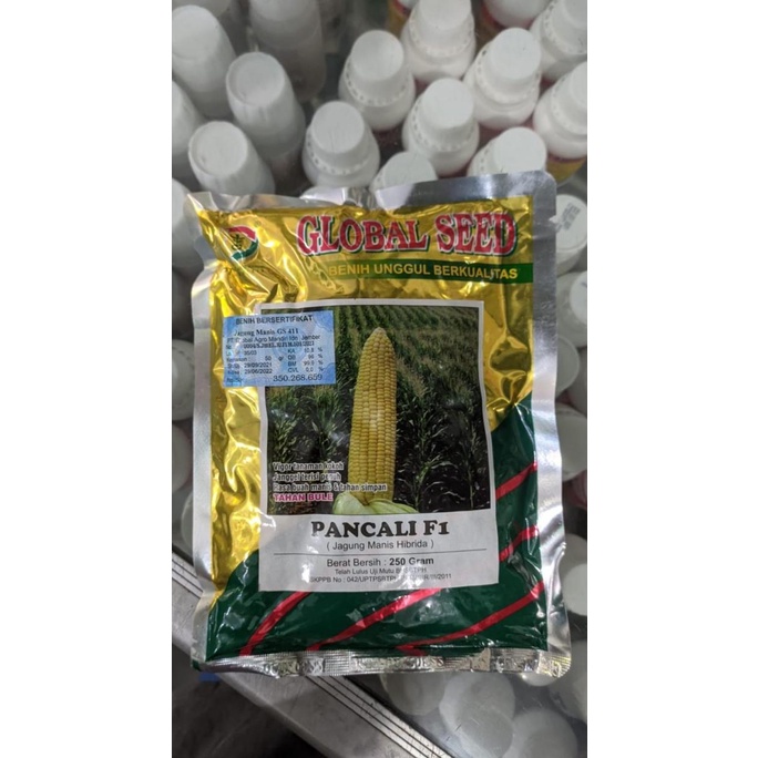 Benih Jagung Manis PANCALI F1 isi 250gr dari Global Seed