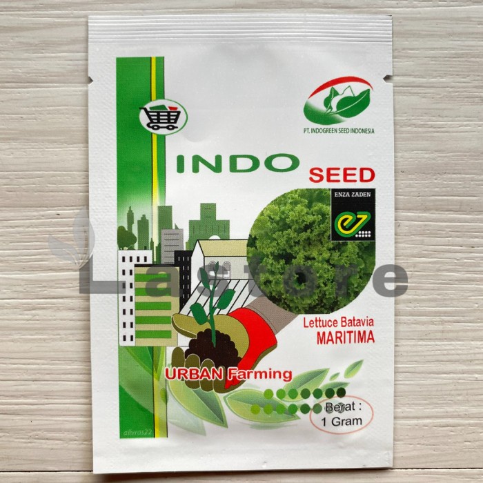 benih selada maritima 1 gr indo seed indogreen seed