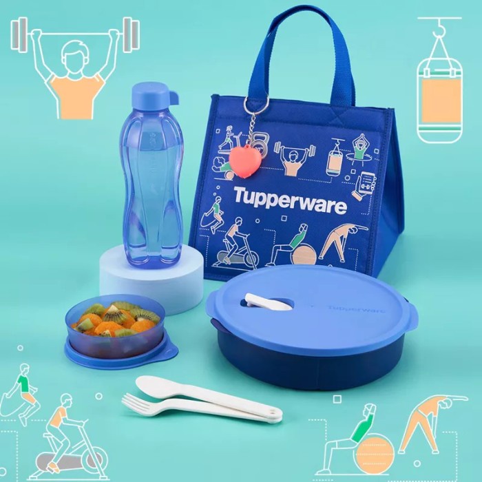 Tupperware Fit To Go Lunch Set Tempat Bekal Makan