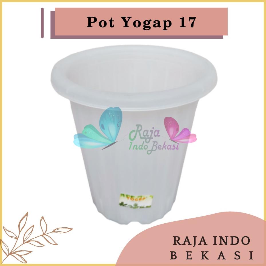 Terlaris Pot Yogap 17 Transparan Bening Clear Pot Yogap Ypt Tinggi Tebal Berkualitas Pot Yogap 18 19