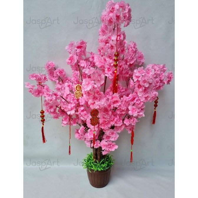 (:(:(:(] POHON SAKURA JEPANG MEI HWA SIZE BESAR PREMIUM 1 METER POHON IMLEK