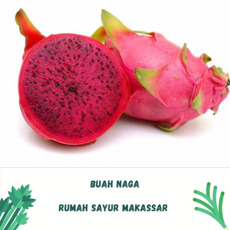 

buah naga