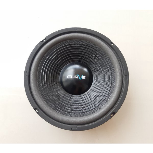 SPEAKER 10 INCH WOOFER CURVE 300 WATT