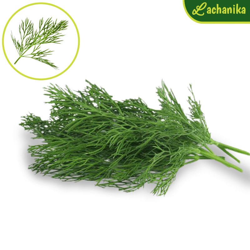 

Daun Dill Fresh 250gr