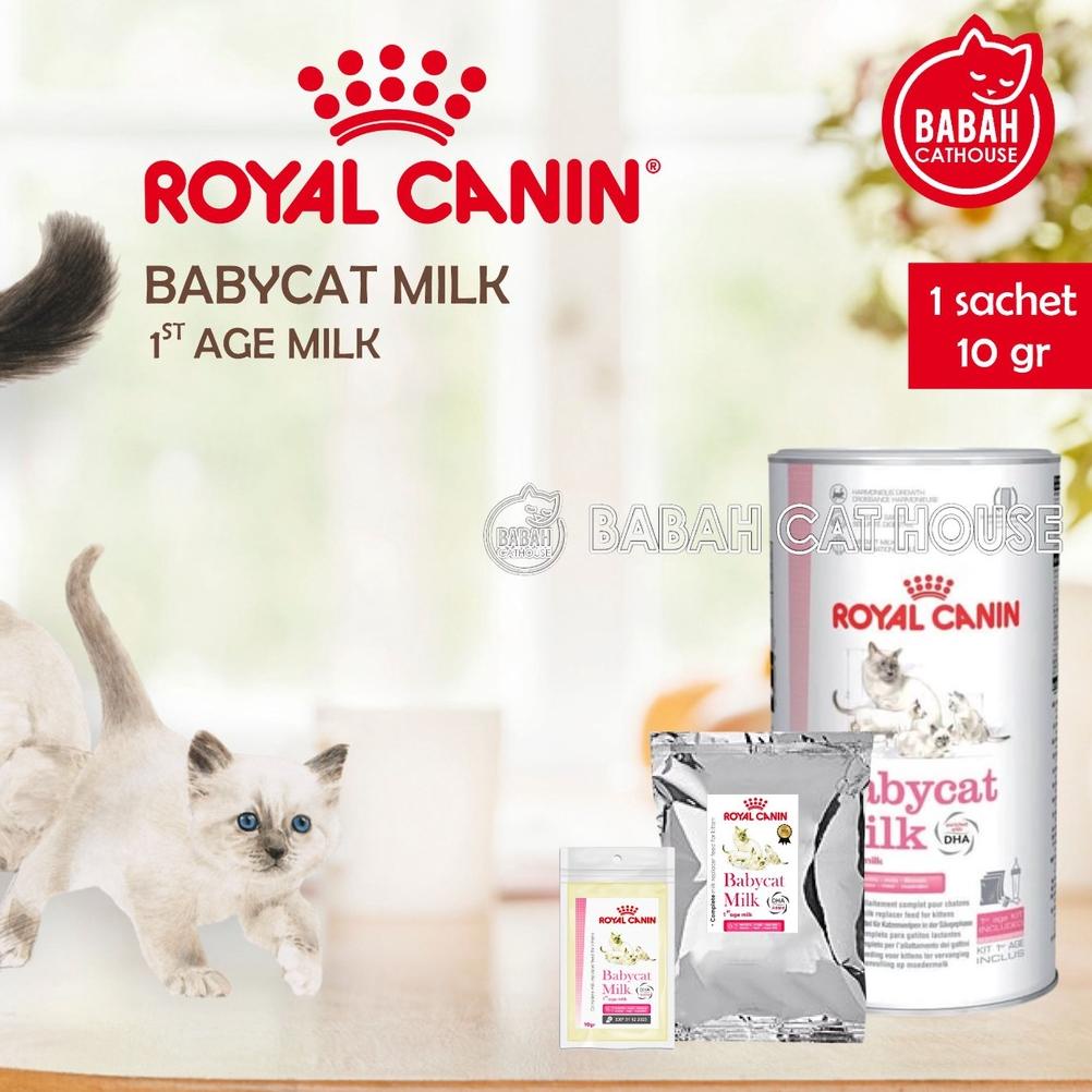 10gr SUSU ROYAL CANIN BABY CAT MILK Untuk Anak Bayi Kucing Baru Lahir Rc Babycat Kitten Murah Royalc