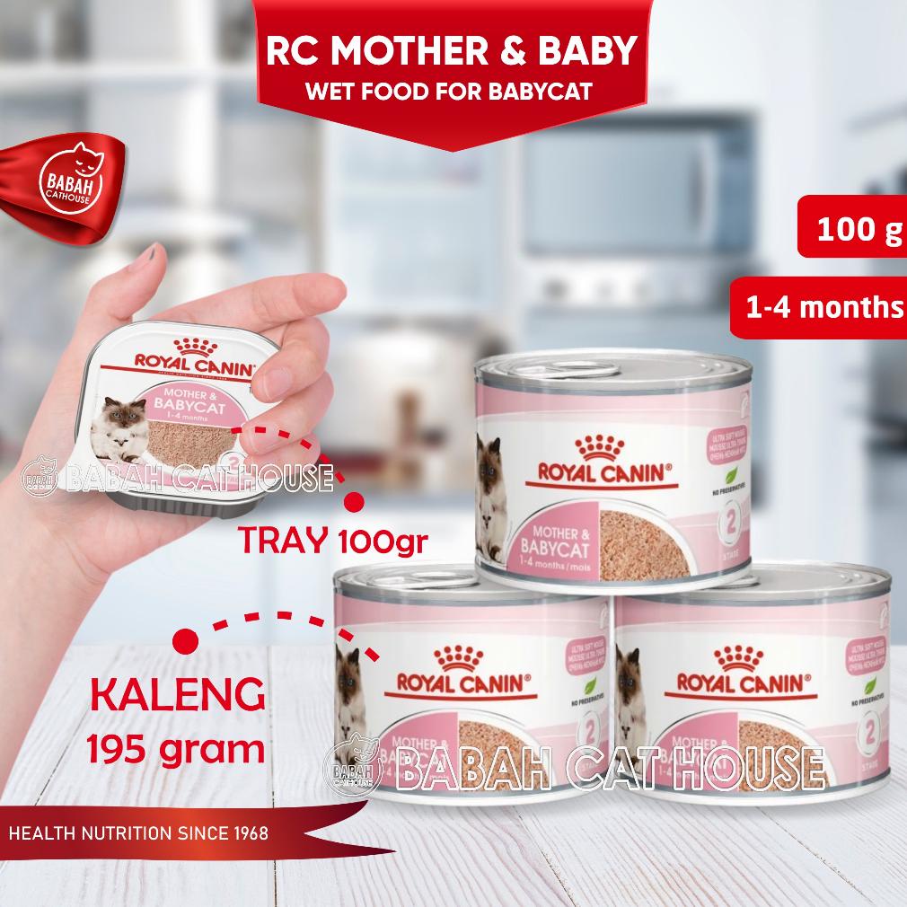 RC MOTHER AND BABY CAT Kemasan KALENG / TRAY Royal Canin Makanan Kucing Basah untuk Bayi 1 Bulan Ind