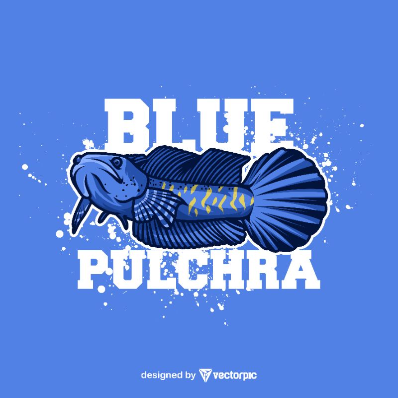 

stiker pulchra