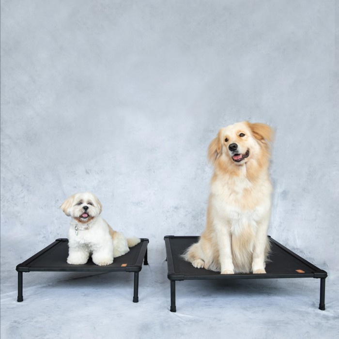 Terlaris The Duracot (Large) -- Elevated Dog Bed (Pet Cot, Tempat Tidur Hewan)