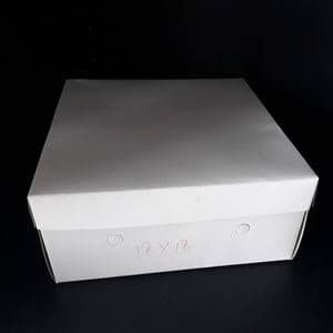 Terlaris Dus Kotak Nasi Putih Polos "Draco" Size 30 X 30