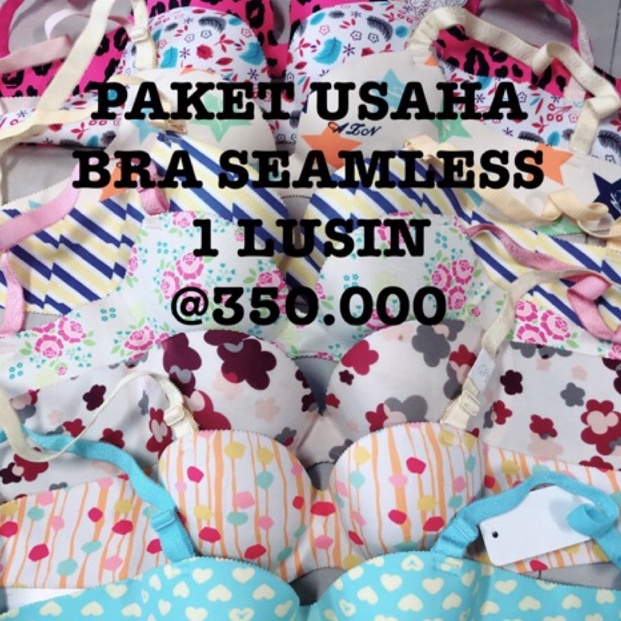 PAKET USAHA PAKAIAN DALAM / BRA SEAMLESS / HARGA GROSIR 35